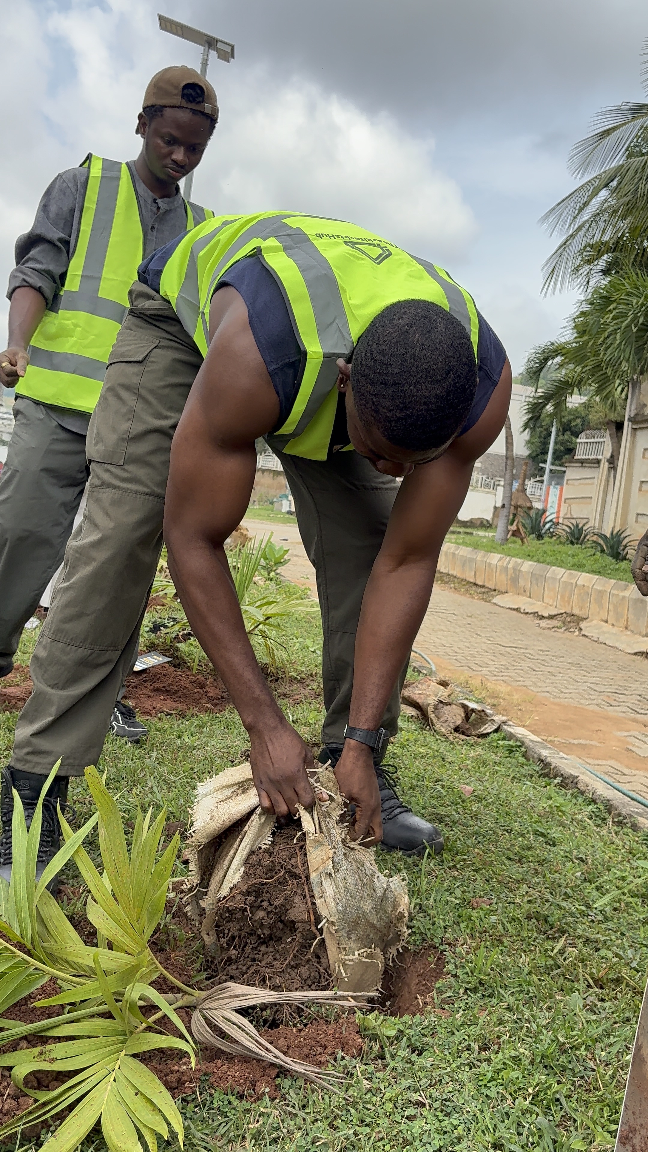 TheArkitecktsHub volunteers planting a palm tree